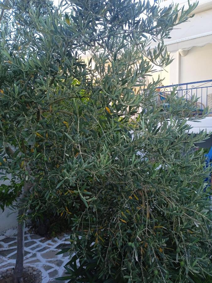 SeeTheSea Apartment Kanali Preveza Bagian luar foto